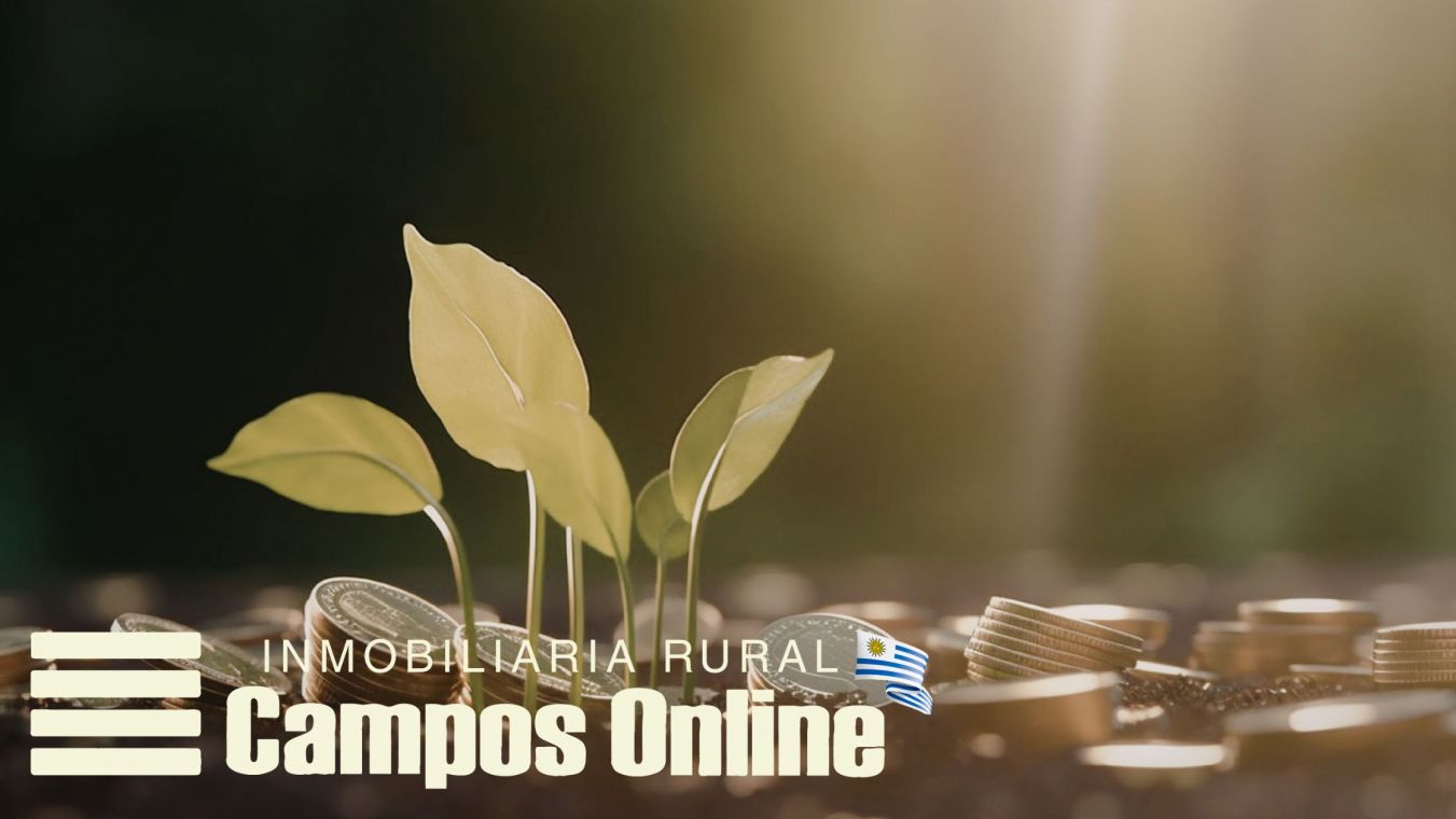 Clima de inversión en Uruguay 2026